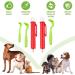 Starfa Lab Tick Removal Tool Kit - 5PC Set for Dogs Cats & Humans | 3 Tick Hooks & 2 Tweezers | International Shipping Available - Buy Online on GoSupps.com