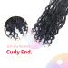 Niseyo 12 Inch Curly Ends Goddess Box Braids Crochet Hair 8 Pack - 1B Color for Black Women - Buy Online on GoSupps.com