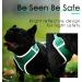 Thinkpet No-Pull Dog Harness & Leash Set - Breathable Adjustable Safe Control for Small Medium & Large Dogs - Reflective Padded Green L - Buy Online on GoSupps.com