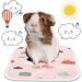 Jetec 6 Pieces Washable Guinea Pig Cage Liners - Anti-Slip & Highly Absorbent Bedding Pads for Small Animals - Buy Online on GoSupps.com