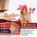 Ventdouce Bale Toe Redemption Paving - Pain Relief & Swelling Correction for Inflamed Toes & Feet - Buy Online on GoSupps.com