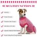 Recreational Dog Suit - Medical Protective Shirt for Small Medium & Large Dogs | Anti-Lick Wound Protection - Red Striped - Buy Online on GoSupps.com