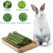 20PCS Natural Timothy Hay Sticks - Chew Toys for Rabbits, Chinchillas, Guinea Pigs, Hamsters & Small Animals - Buy Online on GoSupps.com