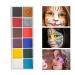 Face Painting Kit Festival Oil Body Paint Body Paint Paste Masquerade Performance Professional Body & Face Paint Kit