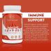 TRUE PROTOCOLS - Immune Support - Quercetin (400mg) + Bromelain (50mg) + Zinc (15mg) + Selenium (100mcg) - 90 Bioavailable Capsules For Optimal Immune Function Support Oxidative Stress Reduction Thyroid & Overall Health - Immune System Booster for Adults  - Buy Online on GoSupps.com