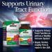 Nature's Answer Cranberry 800 mg - 90 Vegetarian Capsules for Urinary Health - Buy Online on GoSupps.com