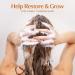 BosRevive Volumizing Shampoo & Conditioner Kit - Hair Regrowth & Thickening for Thinning Hair | Color Safe | Multiple Sizes Available - Buy Online on GoSupps.com