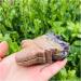 Natural Crystal Rough Natural Crystal Rough Raw Natural Amethyst Quartz Crystal Stone Cluster Angel Wing Carvings for Home Collection Home Decoration 1pc - Buy Online on GoSupps.com