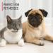 Hoover Pet Stain & Odour Carpet Cleaning Formula AH30933CA 128 oz white - Buy Online on GoSupps.com