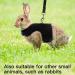 PUPTECK Soft Mesh Cat Vest Harness & Leash Set - Escape Proof for Cats, Small Dogs, Rabbits - X-Large, Black - Buy Online on GoSupps.com