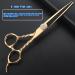 Hair Cutting Scissors Kit 6 Inch Hair Scissors Gold Plated Rhinestones Rose Gold Thinning Tooth Scissors Hair Stylist Special 440 Scissors Set - Buy Online on GoSupps.com