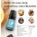 Ecodrop Immunity Essential Oil Blend - 10ml Bottle | Pure Therapeutic Grade Ravensara Tea Tree & Cedarwood Oils | Natural Antiviral Aromatherapy for Immune Defense - Buy Online on GoSupps.com