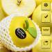 Solid Balm Solid Perfume 3D Strawberry Lemon Pear Apple Shaped Aromatherapy Portable Pocket Balm Perfume Perfect for Travel Use Natural Fragrance Parfum for Men and Women (4.2 Oz Apple) 4.2 Ounce (Pack of 1) Apple - Buy Online on GoSupps.com