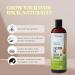 100% Pure Organic Castor Oil 16 OZ - Cold Pressed Hexane Free for Hair Eyelashes & Beard Growth - Ideal for Men & Women - Buy Online on GoSupps.com