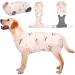 Kuoser Dogebody after op dog body after castration male bitch dog body after op bitch breathable body for dogs after op leakage protection dog anti-wound licking op body dog pale pink XL XL (1 Pack) Hell pink peach
