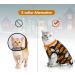 Buy Hipet Cat Surgical Suit for Belly Wounds & Skin Diseases | Anti-Licking Recovery Vest (L Black) - Replace E-Collar & Cone - Buy Online on GoSupps.com