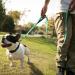 Vivaglory Traffic Handle Dog Leash - Reflective Padded Strong Metal Hook - 1.8m Turquoise Training Line for Dogs - Buy Online on GoSupps.com