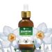 Jasmine (Jasminum Grandiflorum) Essential Oil Pure & Natural Undiluted Uncut Oil | Use for Aromatherapy Skin & Hair - Therapeutic Grade - (15ML)(.50 FL OZ)