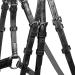 WALDHAUSEN X-Line Standard Bridle Canc n - Black Stainless Steel for Thoroughbreds & Cobs | International Shipping Available - Buy Online on GoSupps.com