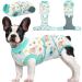 Kuoser Dogebody after op dog body after castration male bitch dog body after op bitch breathable body for dogs after op leakage protection dog anti-wound licking op body dog cute animal xs XS (1 Pack) Green animal