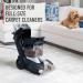 Hoover AH31925CA Paws & Claws Carpet Cleaning Formula with Stainguard 64 oz - Buy Online on GoSupps.com