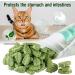 100g Cat Grass Treats Cat Grass Teething Stick for Hairball Remove and Teeth Cleaning Edible Cat Grass Stick Snack - Buy Online on GoSupps.com
