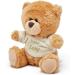 Small Brown Teddy Bear - Newborn Gift Plush Soft Toy with Embroidered T-Shirt - Buy Online on GoSupps.com