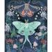 FILASLFT Diamond Painting Paint by Diamonds for Adults  Diamond Art with Accessories & Tools Wall Decoration Crafts Relaxation and Home Wall Decor 12 x 16inch A-Luna Moth
