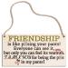 Friend Gifts For Women Best Friend Funny Friendship Gift For Women Under 10 15 Dollars Wood Plaques Sign Gift For Her Womens Special Friends Bff 10 Gifts For Woman Prime New Funny BFF Gifts Sign New