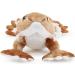 Zappi Co 100% Recycled Plush Bearded Dragon Toy - 34cm Soft Eco-Friendly Animal for Newborns - Buy Online on GoSupps.com