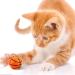 TIESOME Quiet Foam Cat Toy Balls 12PCS 4 CM Large Sponge Cat Ball Soft Cat Soccer Ball Playset Interactive Cat Toys Cat Exercise Toy Balls Pet Sports Ball for Cat Kitten - Buy Online on GoSupps.com
