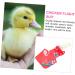 VANZACK 1pc Diaper Hen Halloween Costumes Clothing Girl Dogs Underwear Duck Flight Suit Girl Puppy Clothes Chicken Flight Suit Mamal Chicken Costumes Red Physiological Pants Polyester Pet 22X11X1cm Red - Buy Online on GoSupps.com