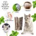 Thompson & Wood 8x Catnip Sticks - 100% Natural Cat Toy for Dental Care & Fresh Breath - Buy Online on GoSupps.com
