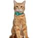 Oopsdoggy Leather Airtag Cat Collar with Bell | Durable GPS Pet Collar for Cats & Small Dogs | Light & Stylish Design (Aquamarine) - Buy Online on GoSupps.com