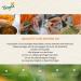 Bergila Organic Peppermint Essential Oil 10ml | 100% Natural Mentha Piperita | Refreshing & Purifying Quality from South Tyrol - Buy Online on GoSupps.com