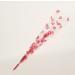 10 Heart Design Henna & Jagua Empty Applicator Cones - Buy Online on GoSupps.com