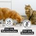 Catz Finefood Purrr Lamb Monoprotein Cat Food - 70% Meat Wet Food 6 x 400g Cans for Nutritional Cats - Buy Online on GoSupps.com