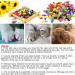 VICTHY 100pcs Colorful Cat Nail Caps - Soft Claws Covers for Cats with Glue - 10 Colors/Set Medium - Buy Online on GoSupps.com
