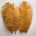 Shekyeo Gold 10-12inch Ostrich Feather Home Decoration DIY Craft Pack of 10 - 25-30cm - Buy Online on GoSupps.com