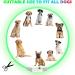 Auauy LED Light Neck Band Dog Collar - USB Rechargeable Adjustable Waterproof Luminous Safety Collar for Dogs & Cats - 5 Color Gradients - Buy Online on GoSupps.com