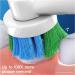 Oral-B Pack Of 10 Toothbrush Heads White 10 Pack - Buy Online on GoSupps.com