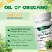 Oregano Oil with Black Seed Oil Vitamin C and Zinc 4-in-1 formula Naturally Contains Carvacrol and Thymol antioxidant and immune-boosting benefits and support digestion | Non-GMO | 90 Softgels 1 Bottle - Buy Online on GoSupps.com