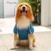 Waterproof Dog Coat - Warm Winter Jacket & Fleece Hoodie for Small to Medium Dogs | Autumn Pet Clothing - XL 1114debka Blue - Buy Online on GoSupps.com