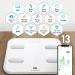 Arboleaf Smart Scales: Wi-Fi Bluetooth Bathroom Scales for Body Weight & Body Fat 14 Metrics, iOS Android APP, Wireless Cloud Storage BMR BMI, 8 Users - Buy Online on GoSupps.com