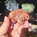 200g Natural Orange Aragonite Quartz Rough Stone Cluster Nepheline SpecimenNatural Stones and Minerals 1pcs Can be Used for (Size : 150-200g) Home Collections (Size : 100-150g)