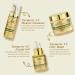 Anirui Facial Care Set: Anti-Aging Day & Night Skincare Gift Set for Women - Turmeric & Vitamin C Mask Foaming Cleanser Facial Oil - Buy Online on GoSupps.com
