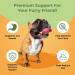Probiotics for Dogs 120 Chicken Flavour Dog Probiotic & Prebiotic Tablets Immune Boost & Digestive Support for Upset Tummy Loose Stools & Bloating 1-4 Month Supply by NUVIMI (Packaging May Vary) - Buy Online on GoSupps.com