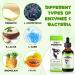 3-in-1 Dog Probiotic Drops - Relieve Diarrhea, Support Gut Health, Immunity & Skin - Bacon Flavor - 60ml - Buy Online on GoSupps.com