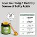 FOUR LEAF ROVER Green Eggs Joint & Mobility Support for Dogs - Vet Formulated with Glucosamine & Chondroitin - Easy to Mix & Delicious - 30-Day Supply - Buy Online on GoSupps.com