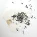 CAPACITEA Boxed Loose Leaf Chinese Tie Kuan Yin Tea Tea Leaves Oolong 125gram Oolong Tea - Buy Online on GoSupps.com